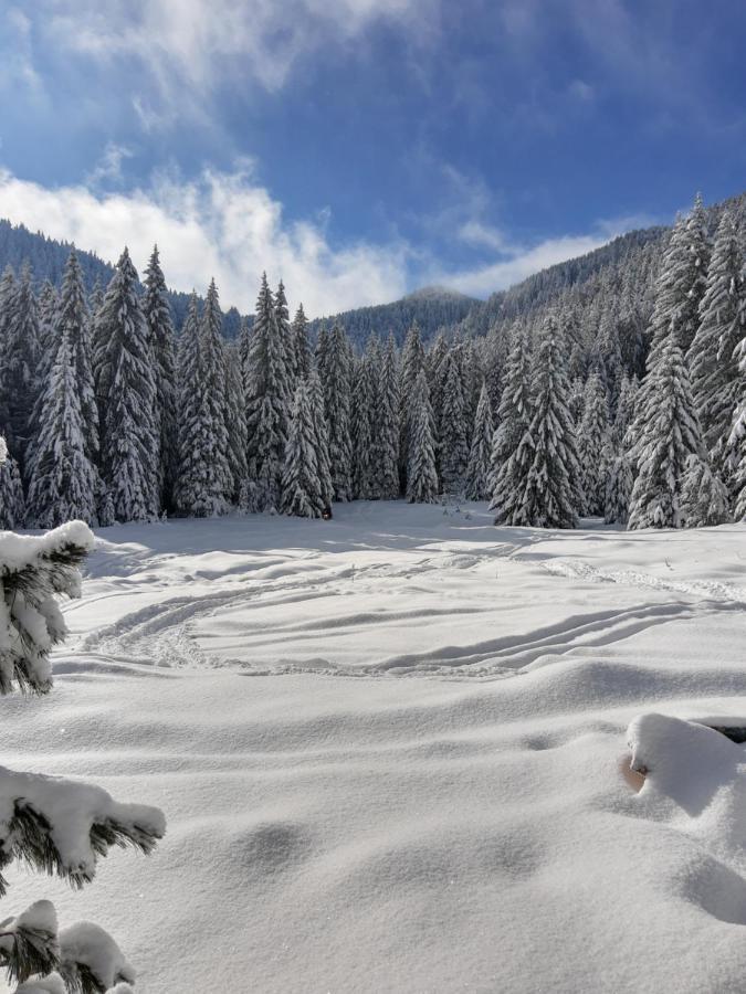 Хижа Ловна В Рила Panichishte Esterno foto