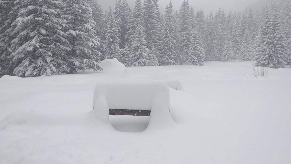 Хижа Ловна В Рила Panichishte Esterno foto