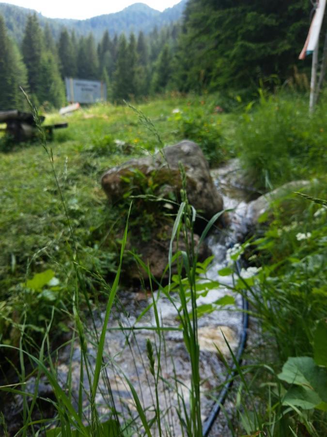 Хижа Ловна В Рила Panichishte Esterno foto